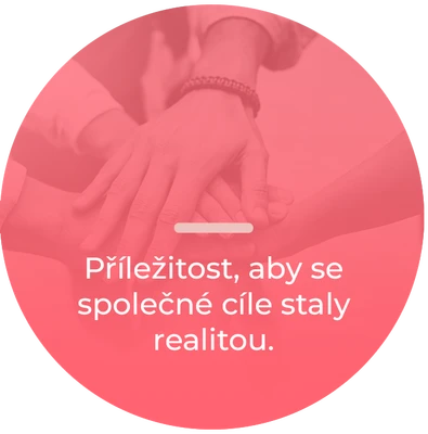 Týmové koučování